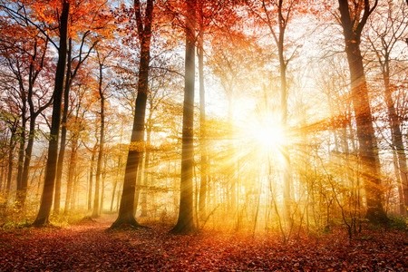 Sharing the Spirit of the Living God