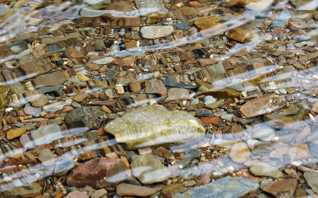 Irish Tenor Michael Daly’s Rendition of “Cool Water”