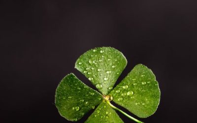 10 St Patrick’s Day Songs to Add to Your Playlist
